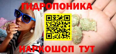 бошки Аргун