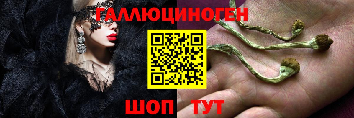 Псилоцибиновые грибы MAGIC MUSHROOMS Выкса