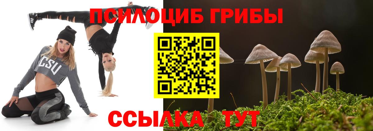 Псилоцибиновые грибы мухоморы  что такое наркотик  Выкса 