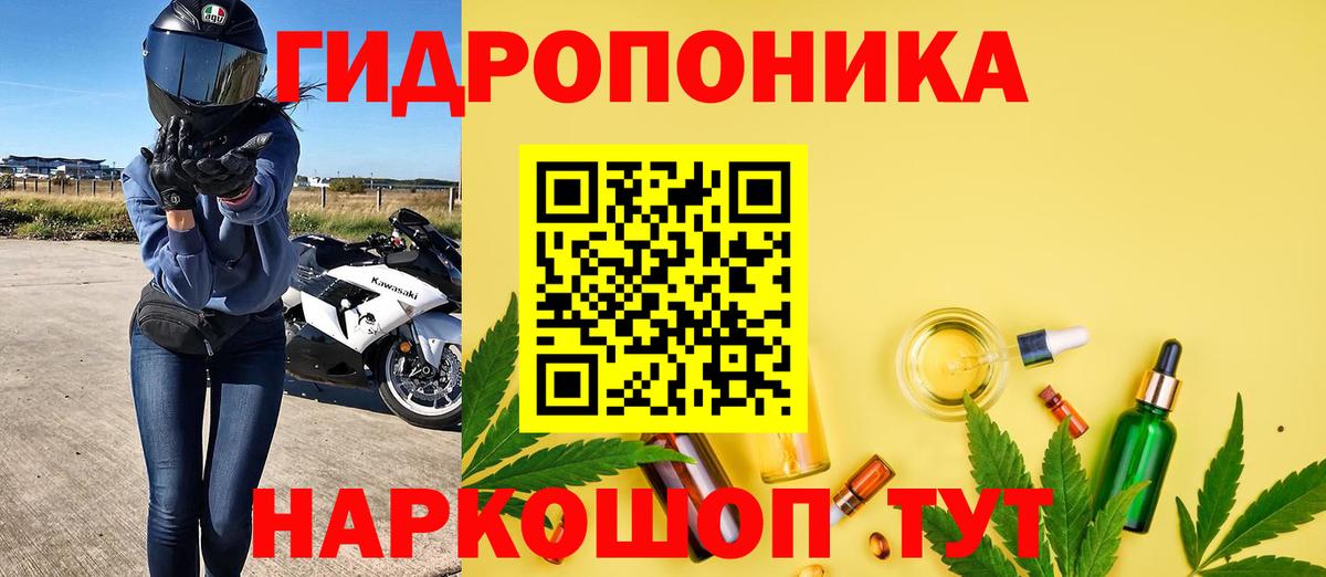 Выкса  Каннабис тримм  Вход с VPN  Каннабис Amnesia  Каннабис планчик 